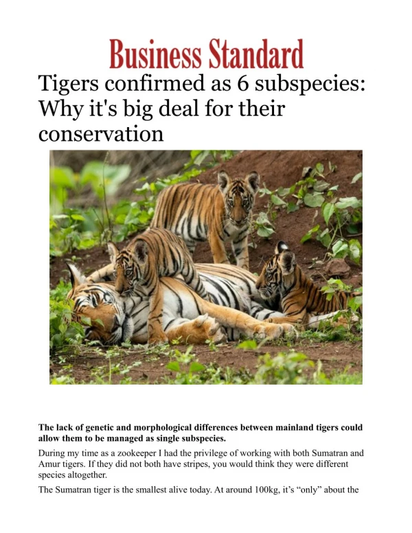 Tigers confirmed as 6 subspecies: Why it's big deal for their conservation