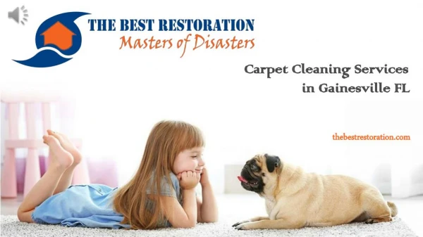 Water Damage Services and Cleaning Services