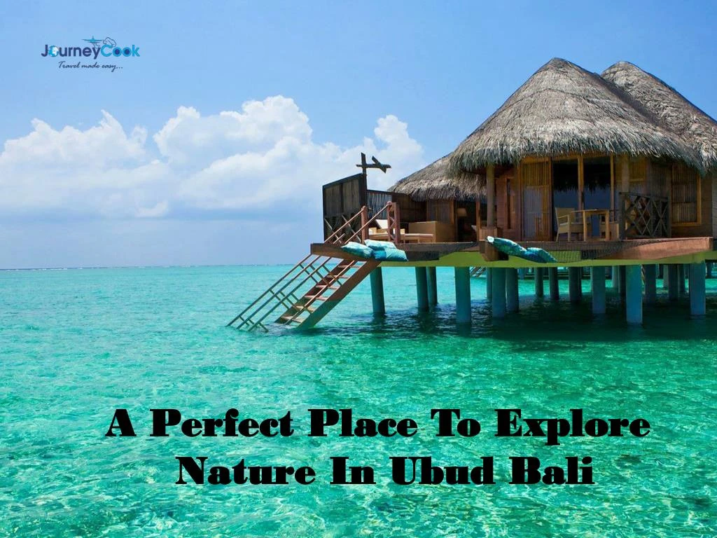 a perfect place to explore nature in ubud bali