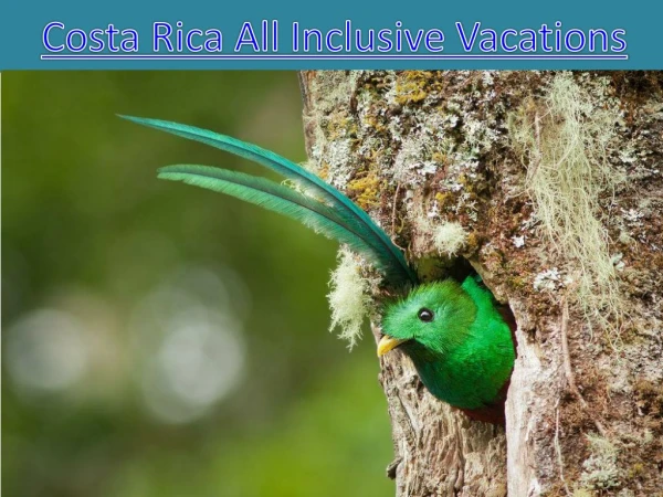 Costa Rica All Inclusive Vacations