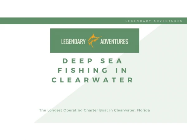 Deep Sea Fishing In Clearwater