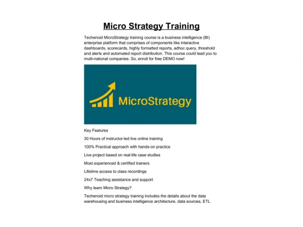 Micro Strategy Training
