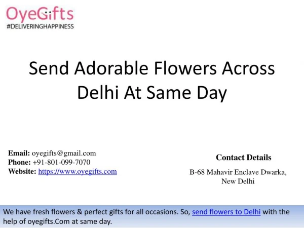 Send Adorable Flowers Across Delhi At Same Day