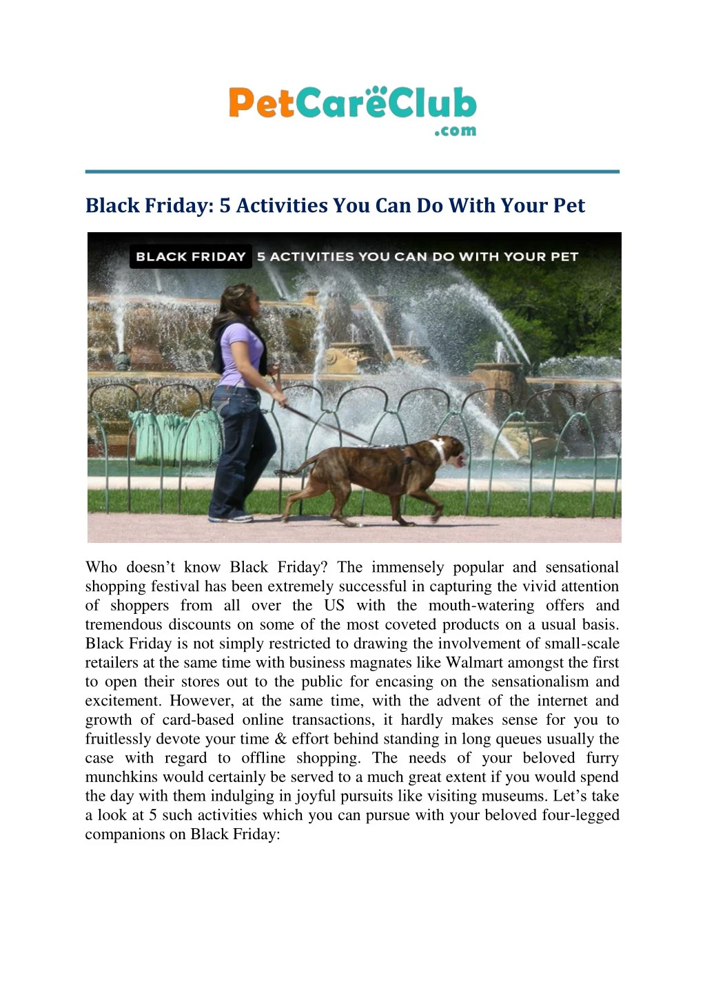 black friday 5 activities you can do with your pet
