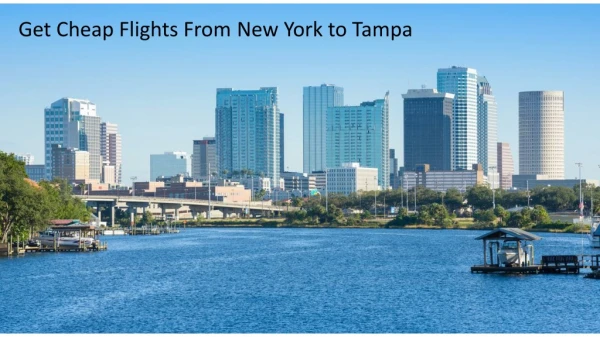 JFK to TPA Flights, Here's How To Save Big?
