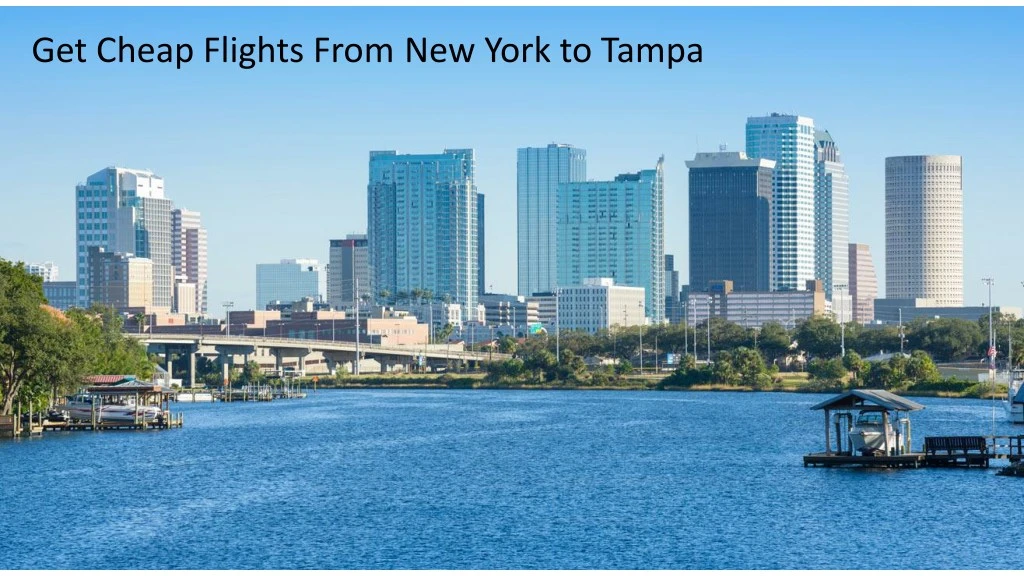 get cheap flights from new york to tampa