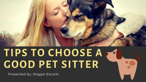 Tips To Choose a Good Pet Sitter