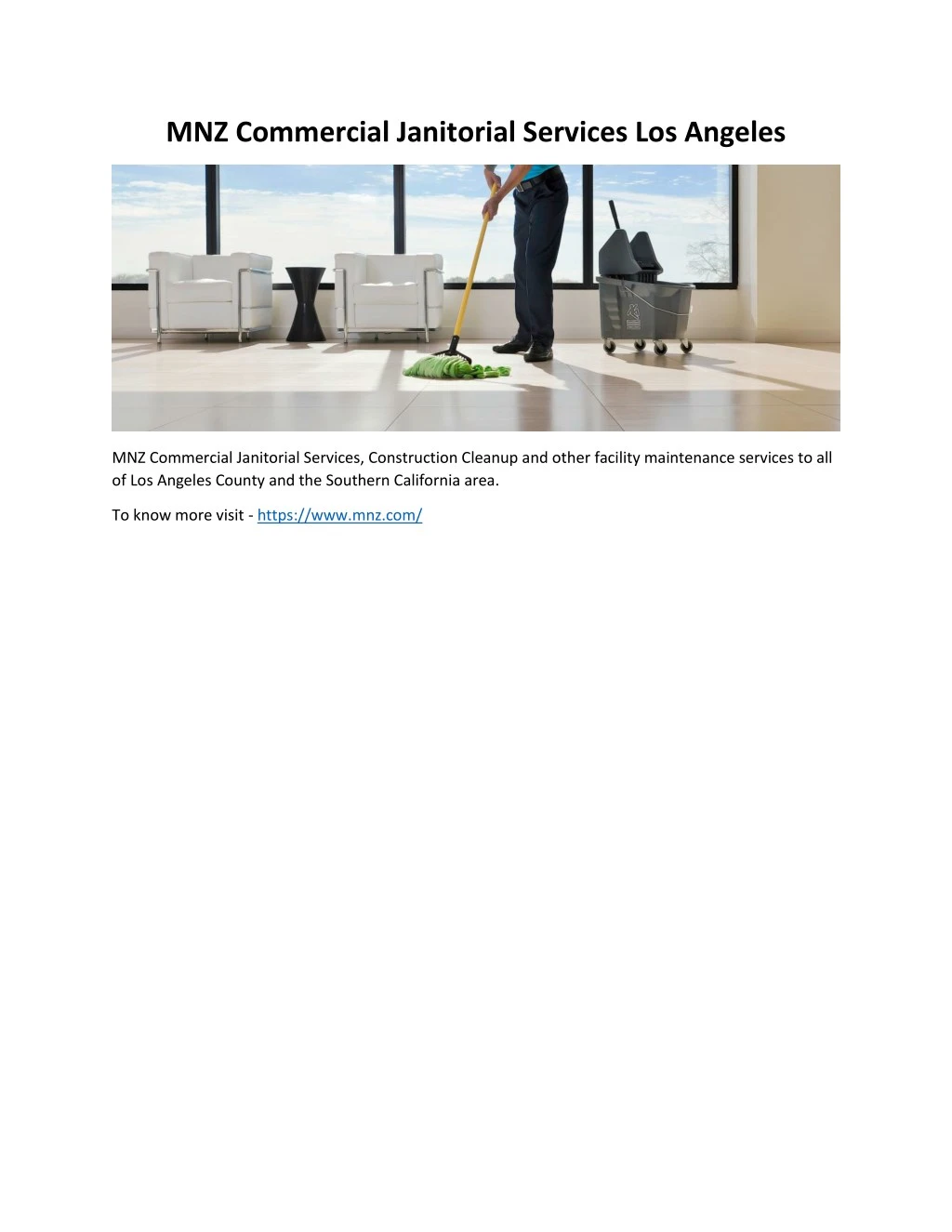 mnz commercial janitorial services los angeles