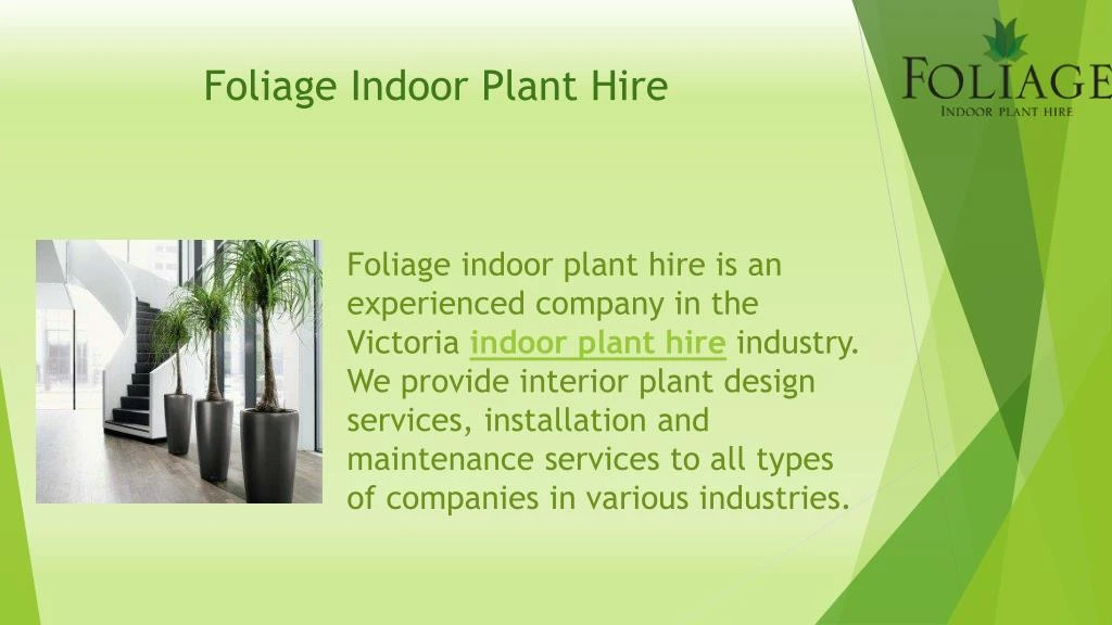 foliage indoor plant hire