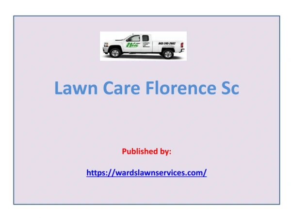 Lawn Care Florence Sc