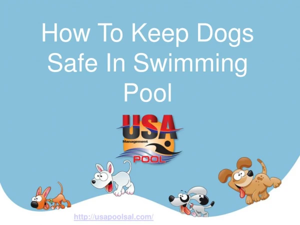 How To Keep Dogs Safe In Swimming Pool