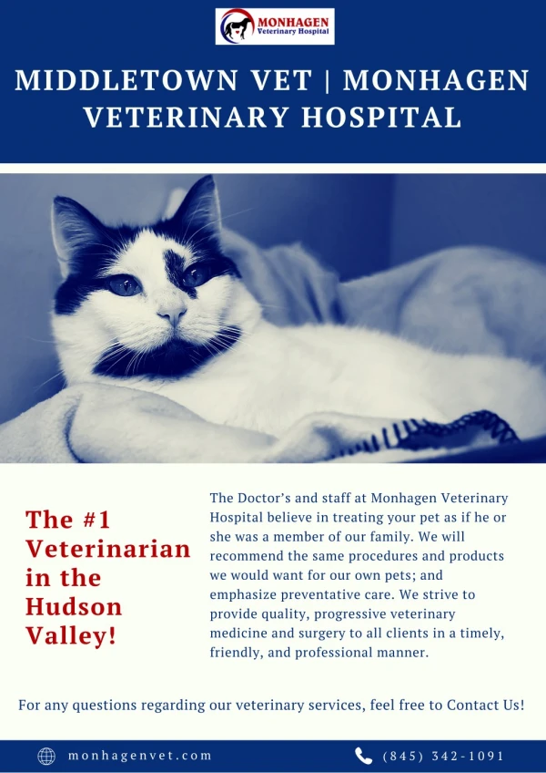 Middletown Vet | Monhagen Veterinary Hospital
