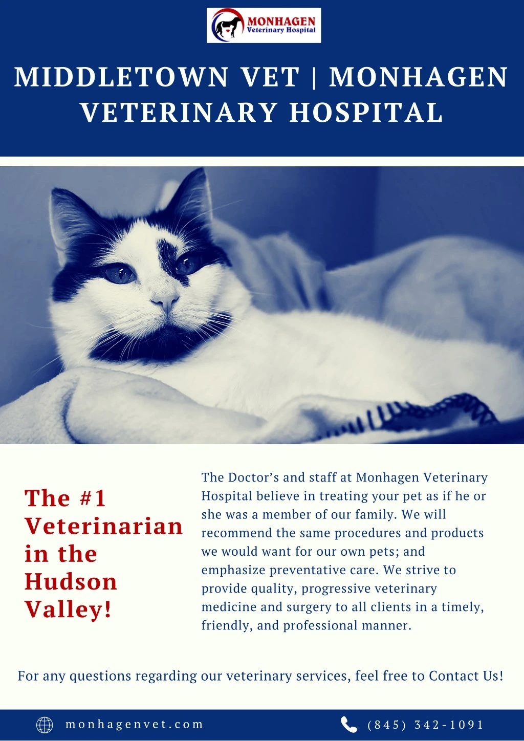 middletown vet monhagen veterinary hospital