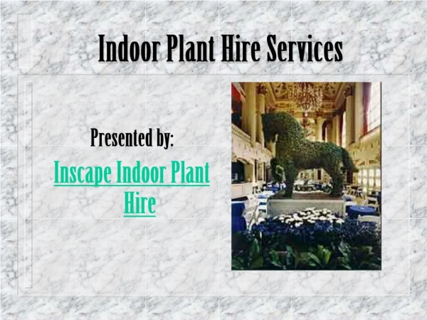 Indoor and Office Plants Hire in Melbourne