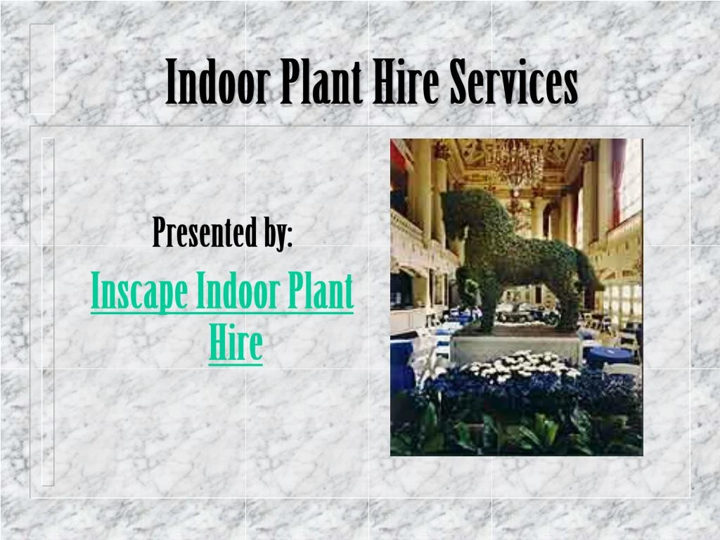 indoor plant hire services