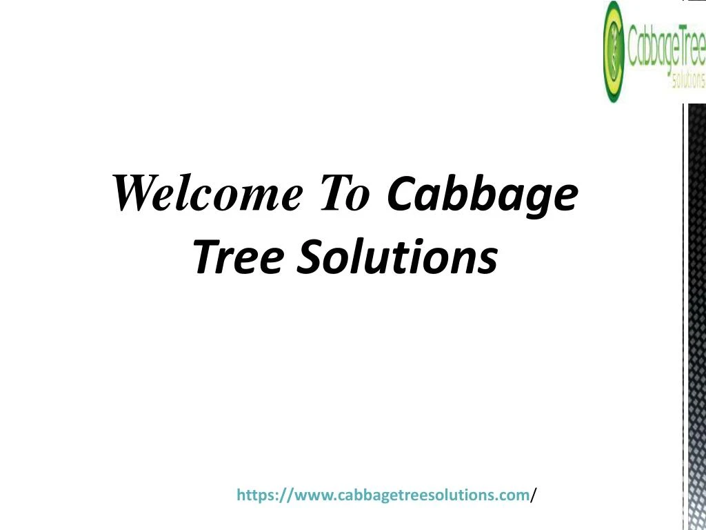 welcome to cabbage tree solutions