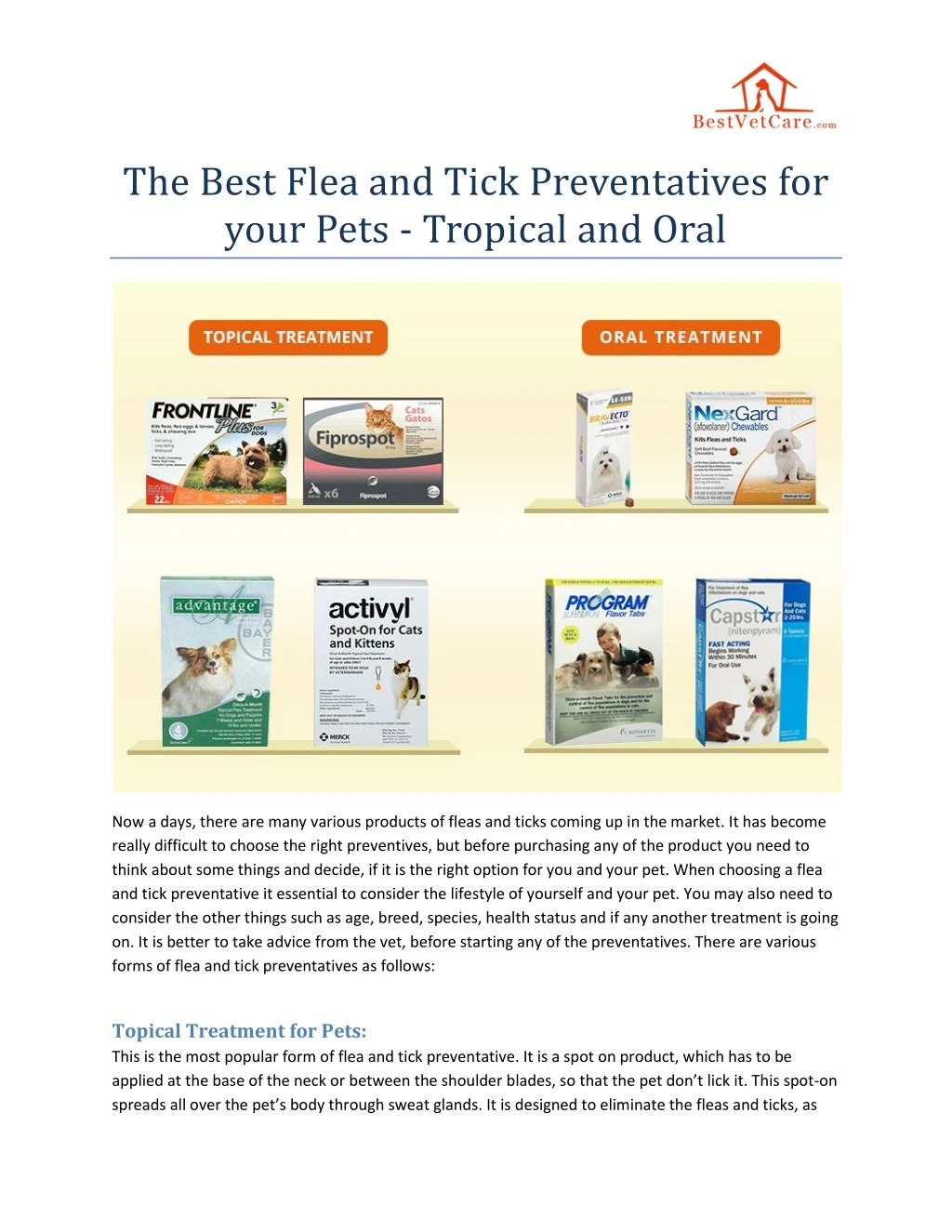 the best flea and tick preventatives for your