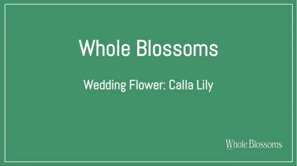 Wedding Flower: Create unique decorations by fascinating calla lilies