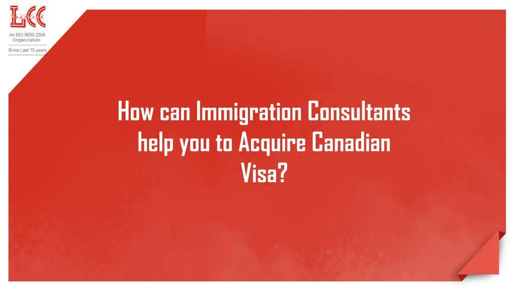 how can immigration consultants help