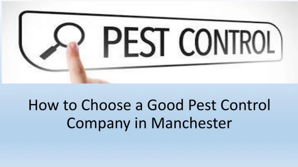 How to Choose a Good Pest Control Company in Manchester