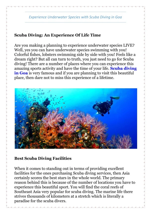 Experience Underwater Species with Scuba Diving in Goa