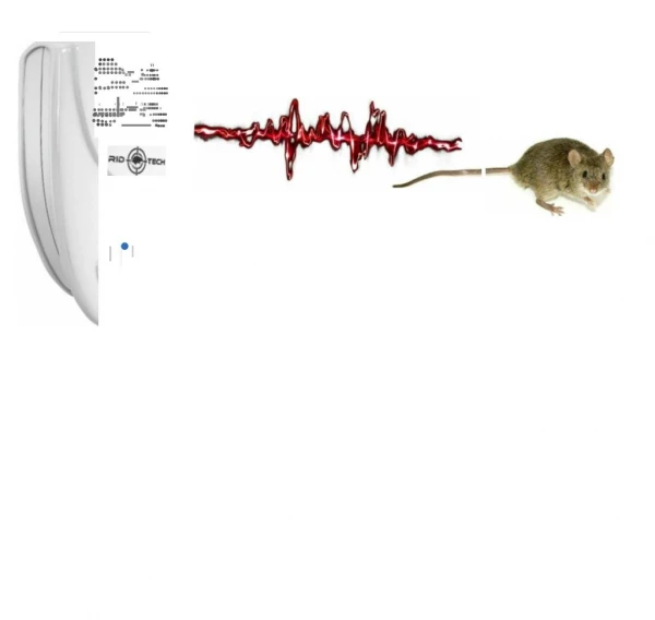 What are tips for disturbance control?