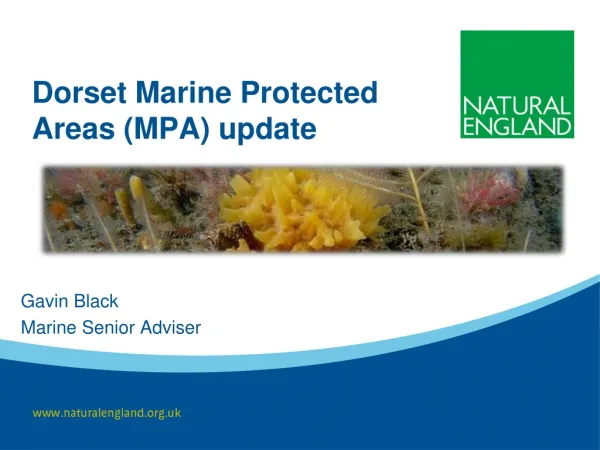 Dorset Marine Protected Areas (MPA) update