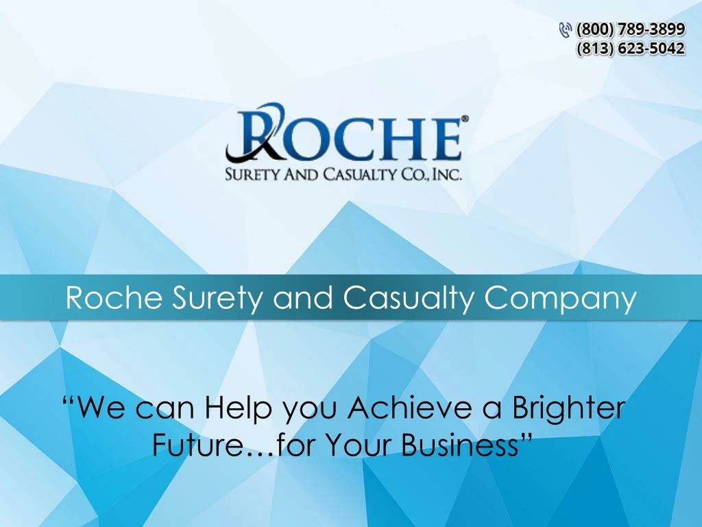 roche surety and casualty company