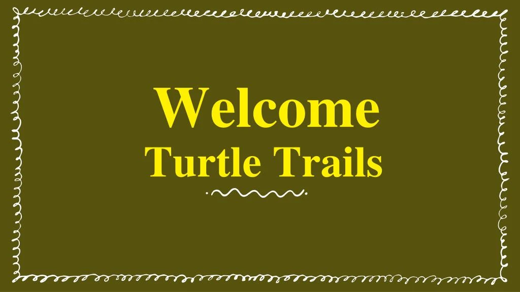 turtle trails