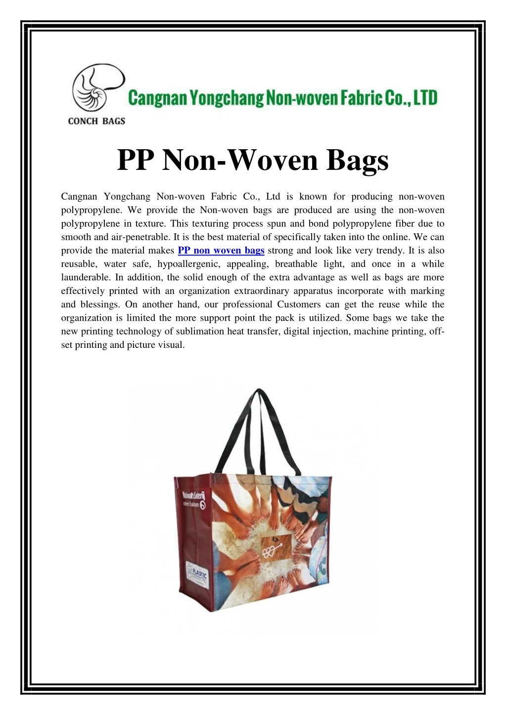 pp non woven bags