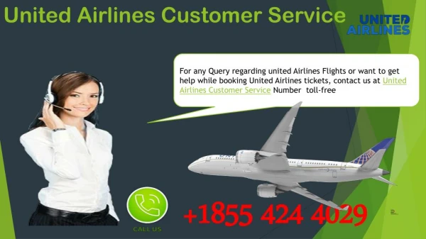 Contact the United Airlines Customer Service