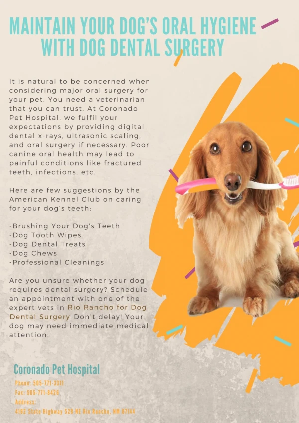 Maintain your dog’s oral hygiene with Dog Dental Surgery