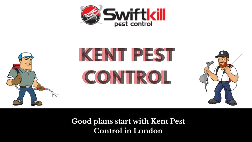 kent pest control control