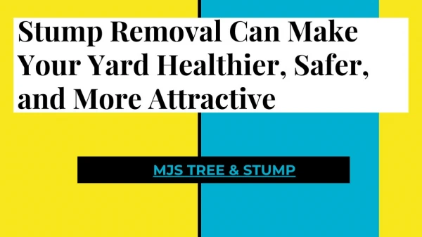 Stump Removal Can Make Your Yard Healthier, Safer, and More Attractive