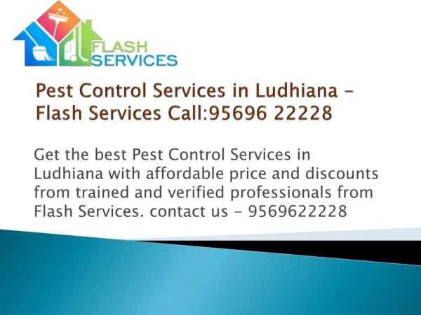 Pest Control Services in Ludhiana - Flash Services Call:95696 22228