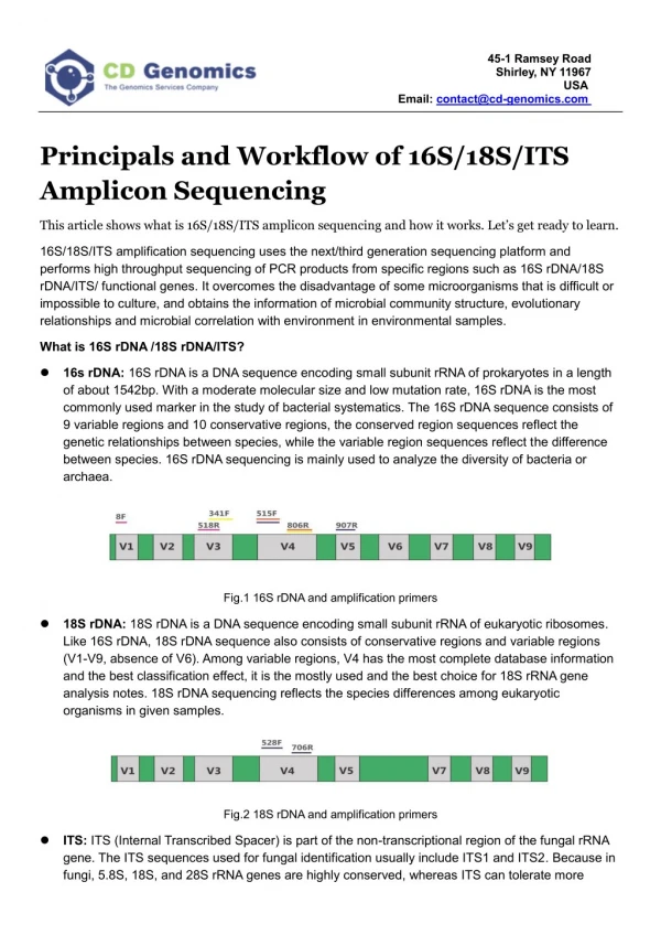 Principals and Workflow of 16S/18S/ITS Amplicon Sequencing