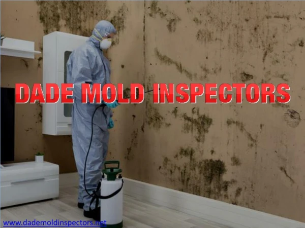 Mold Remediation Miami | Dada Mold Inspectors