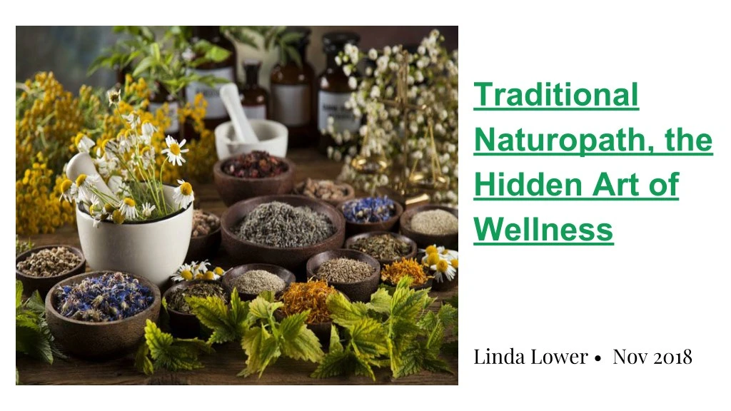 traditional naturopath the hidden art of wellness