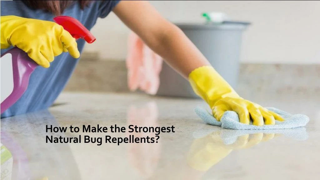 how to make the strongest natural bug repellents