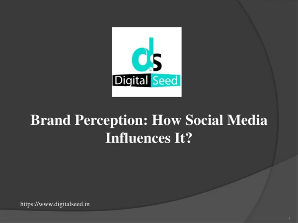 Digitalseed - Brand Perception: How Social Media Influences It?