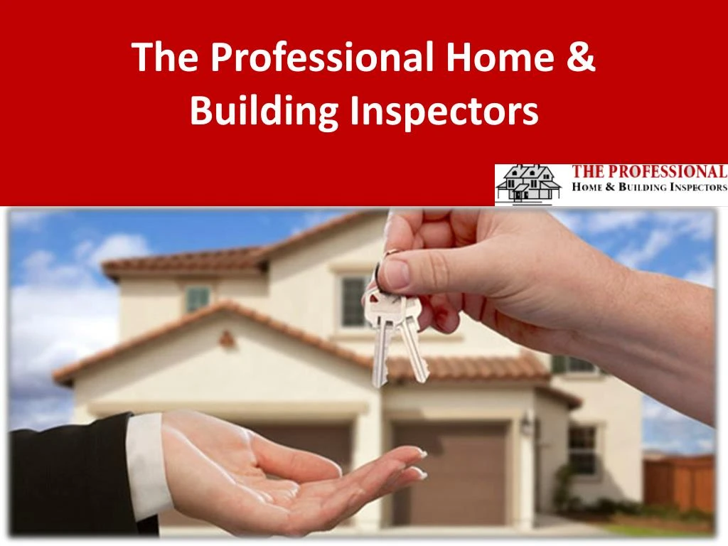 the professional home building inspectors
