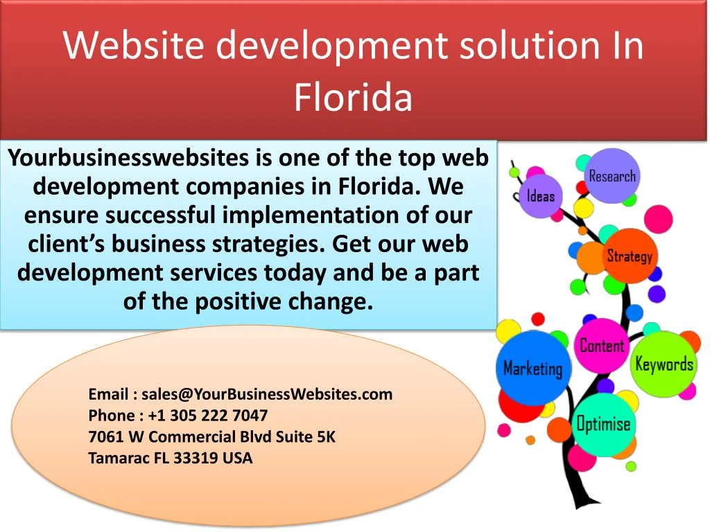 website development solution in florida