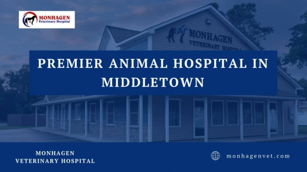 Premier Animal Hospital In Middletown