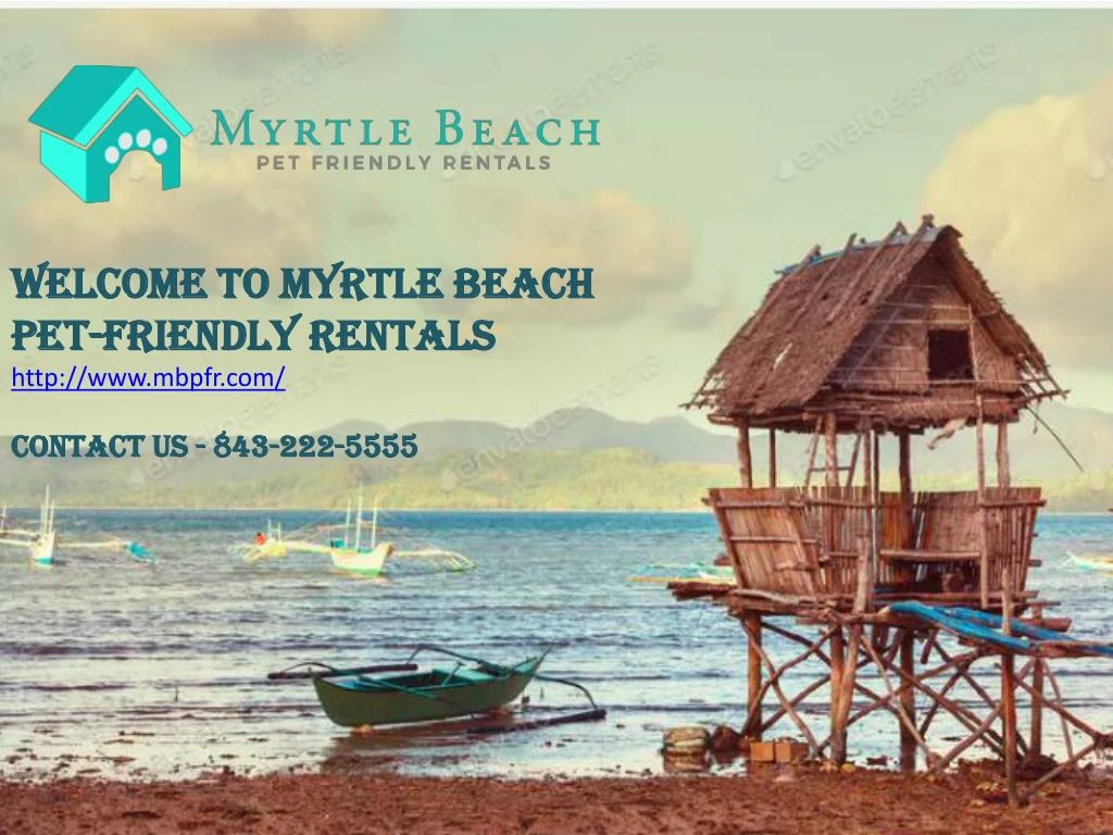 welcome to myrtle beach pet friendly rentals http