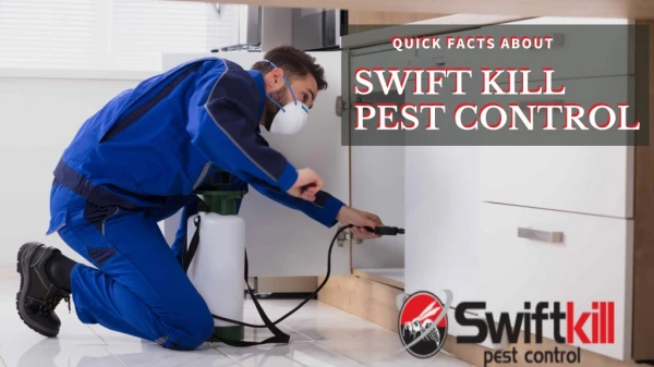 Pest Control Services in Ilford