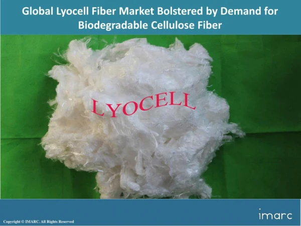 Global Lyocell Fiber Market 2018 Analysis By Top Key Players - Aditya Birla Group, Baoding Swan Fiber Co. Ltd., Lenzing