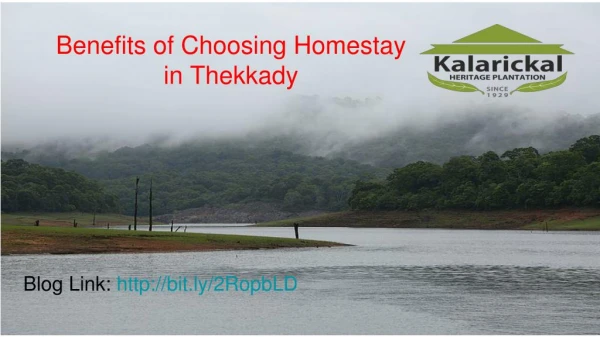 Homestays in Thekkady