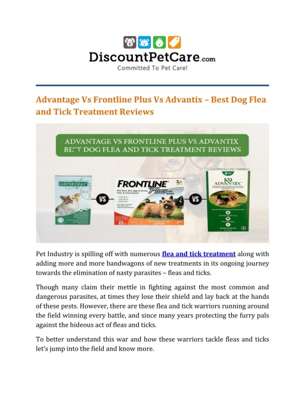 Best Fleas and Ticks Prevention for Dogs