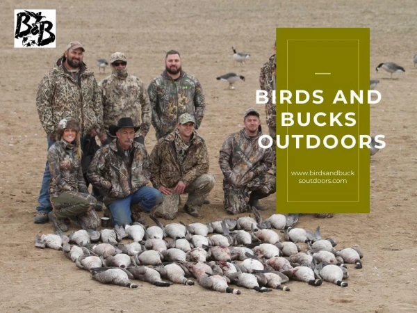 Colorado Duck Hunting