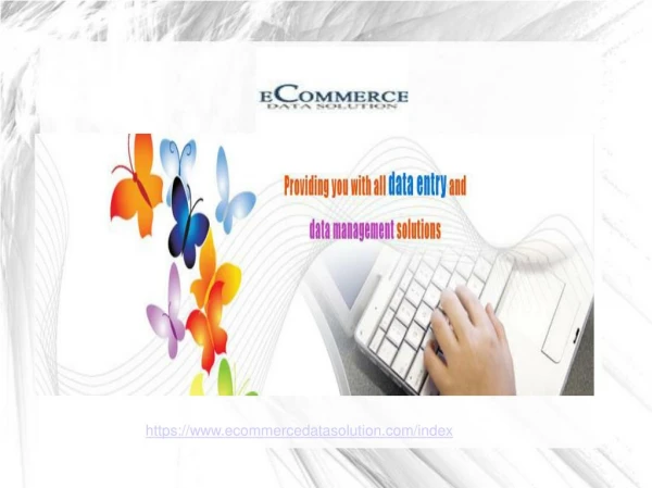 Affordable E- Commerce Product Entry Services | E-commerce Data Solution